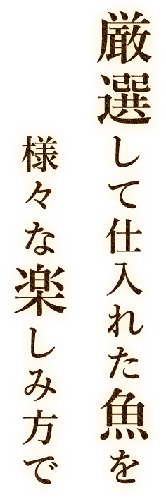 厳選して仕入れた魚を様々な楽しみ方で