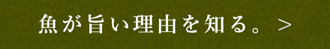 魚が旨い理由を知る。